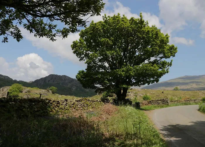 بيت للعطل The Barn *